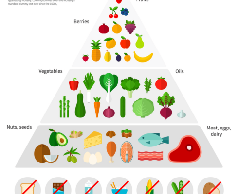 Introducción a la dieta cetogénica: ¿qué es y cómo funciona? Pros y Contras.