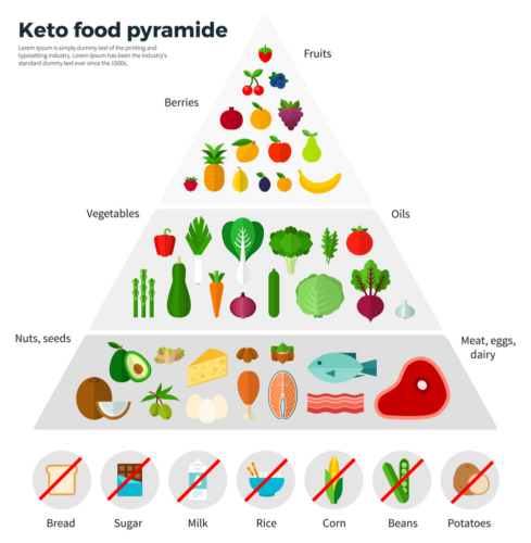 Introducción a la dieta cetogénica: ¿qué es y cómo funciona? Pros y Contras.